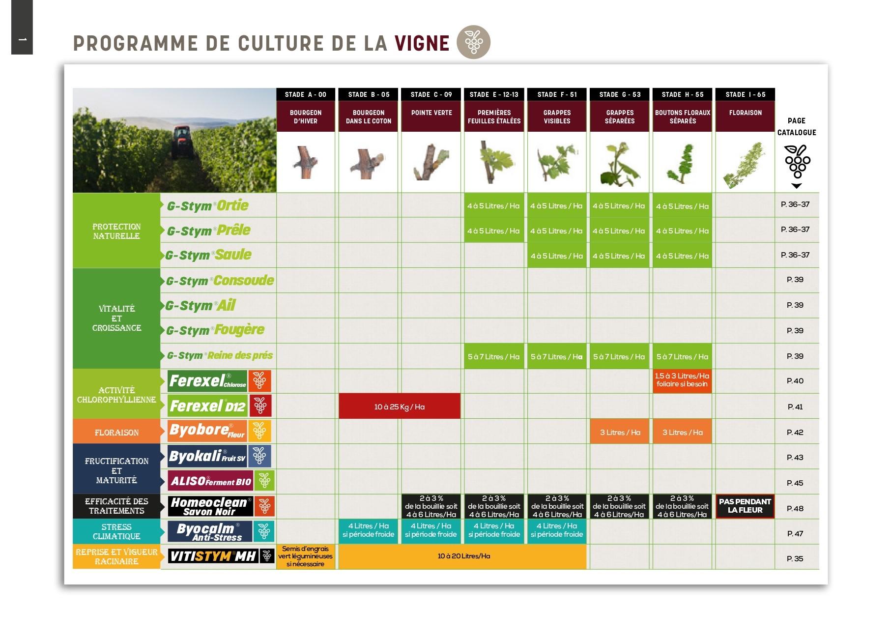 programme de la culture de la vigne